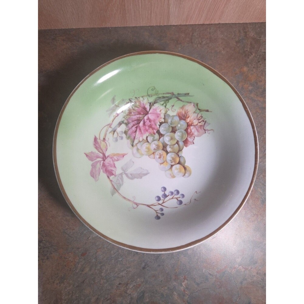 Rare ! Vintage CT Altwasser  Decorative Transfer Print Plate Fruit Gold Trim 8"